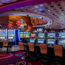 3333bet app