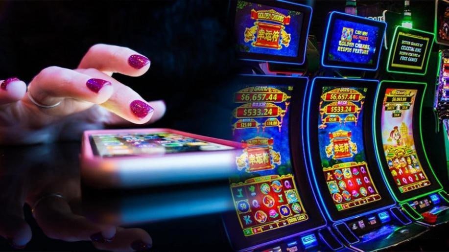 3333bet app