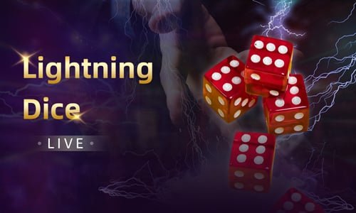 3333bet app