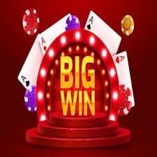 3333bet app